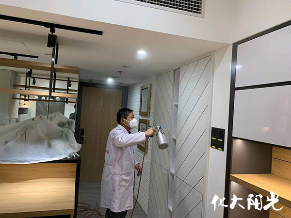 新辦公室除甲醛化大陽光