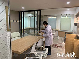 新辦公室除甲醛化大陽光