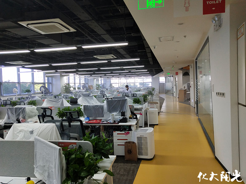 斗魚新辦公室除甲醛