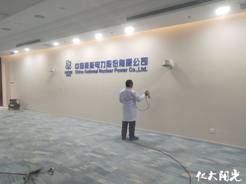 中國核能電力公司除甲醛